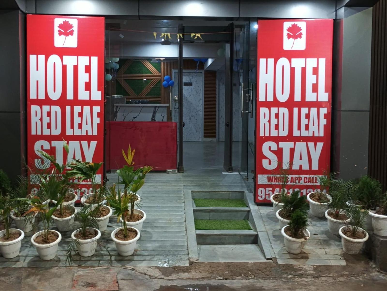 Red Leaf Stay 新德里 外观 照片